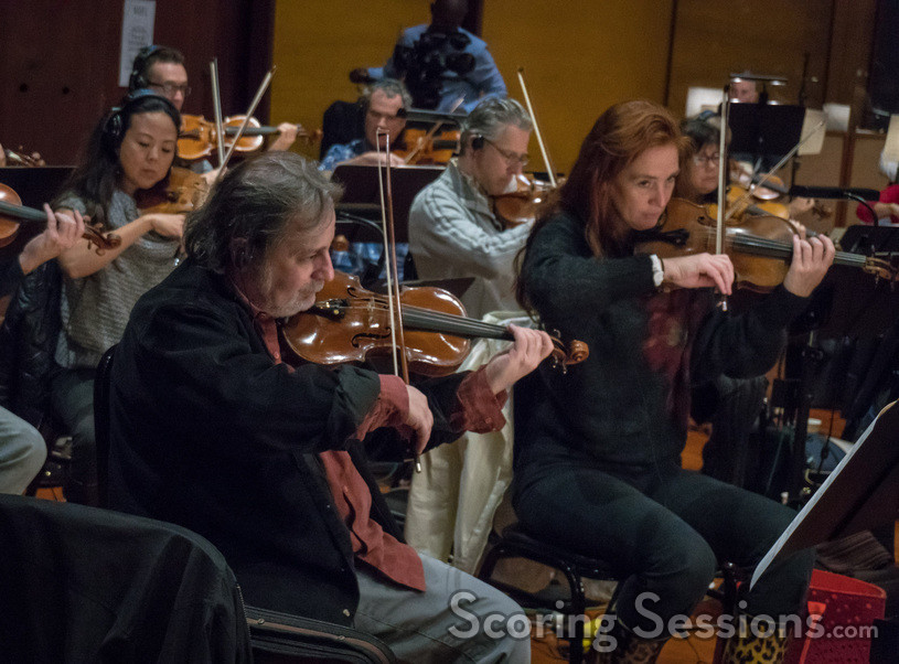 The violins