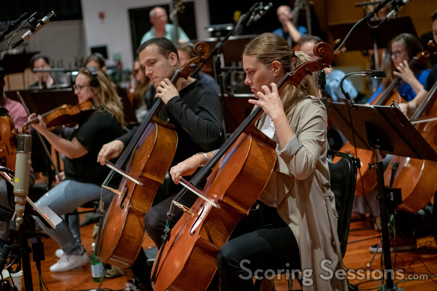 The cello section