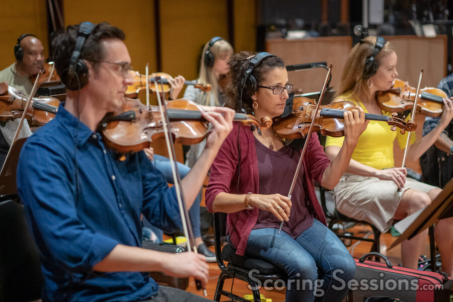 The violins