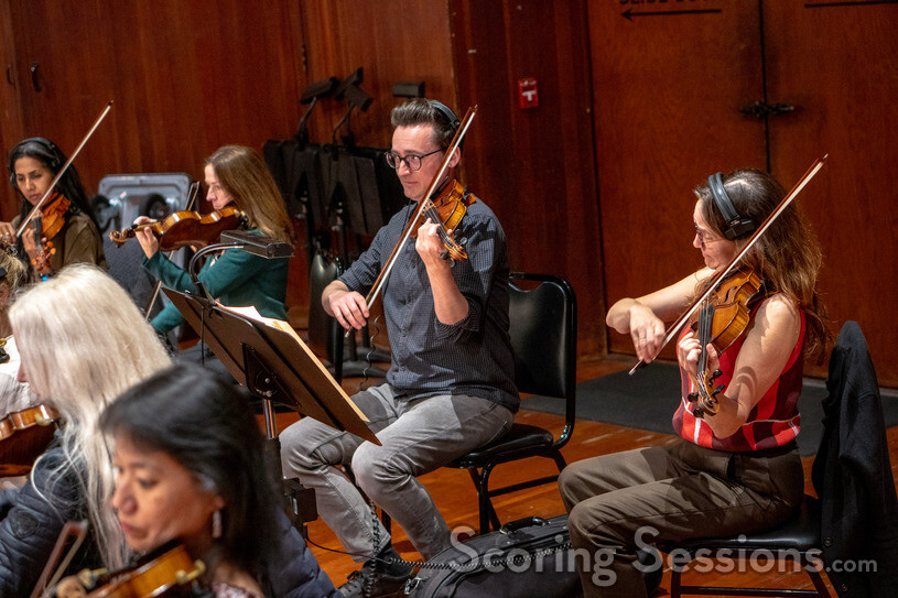 The violins