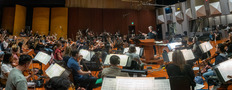 The musicians performing on Moana