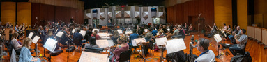 The musicians performing on Moana
