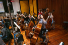 The bass section