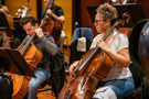 The cellos
