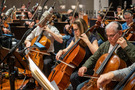 The cellos perform on Moana