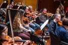 The violas